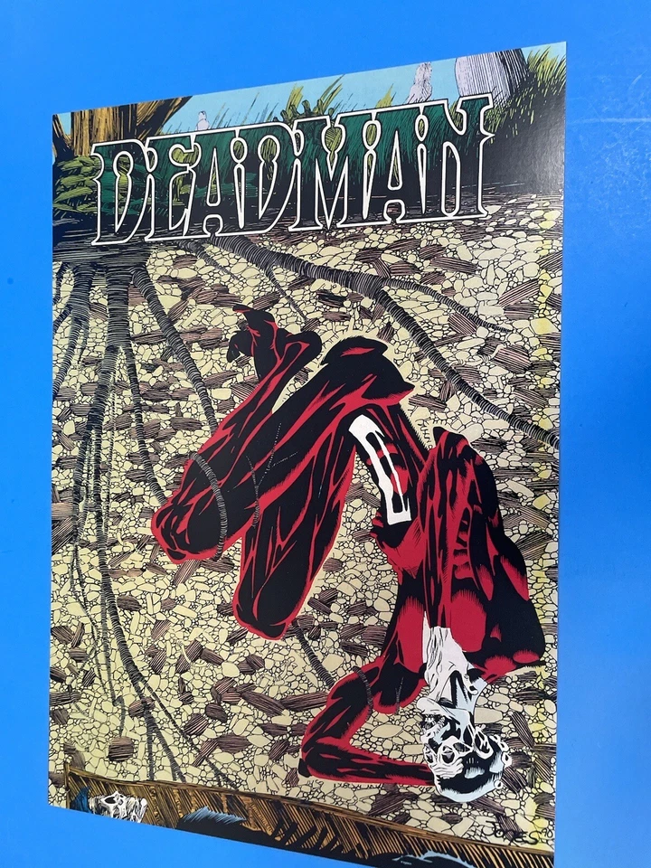 PIN UP PÓSTER DC UNIVERSE DEADMAN NUEVO. Foto 3 de 3