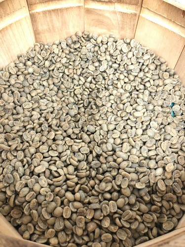 Granos de café verde sin tostar de montaña azul de Jamaica 100 por ciento grado 1 a granel - Imagen 3 de 16