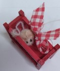 Bild 7 von 12
