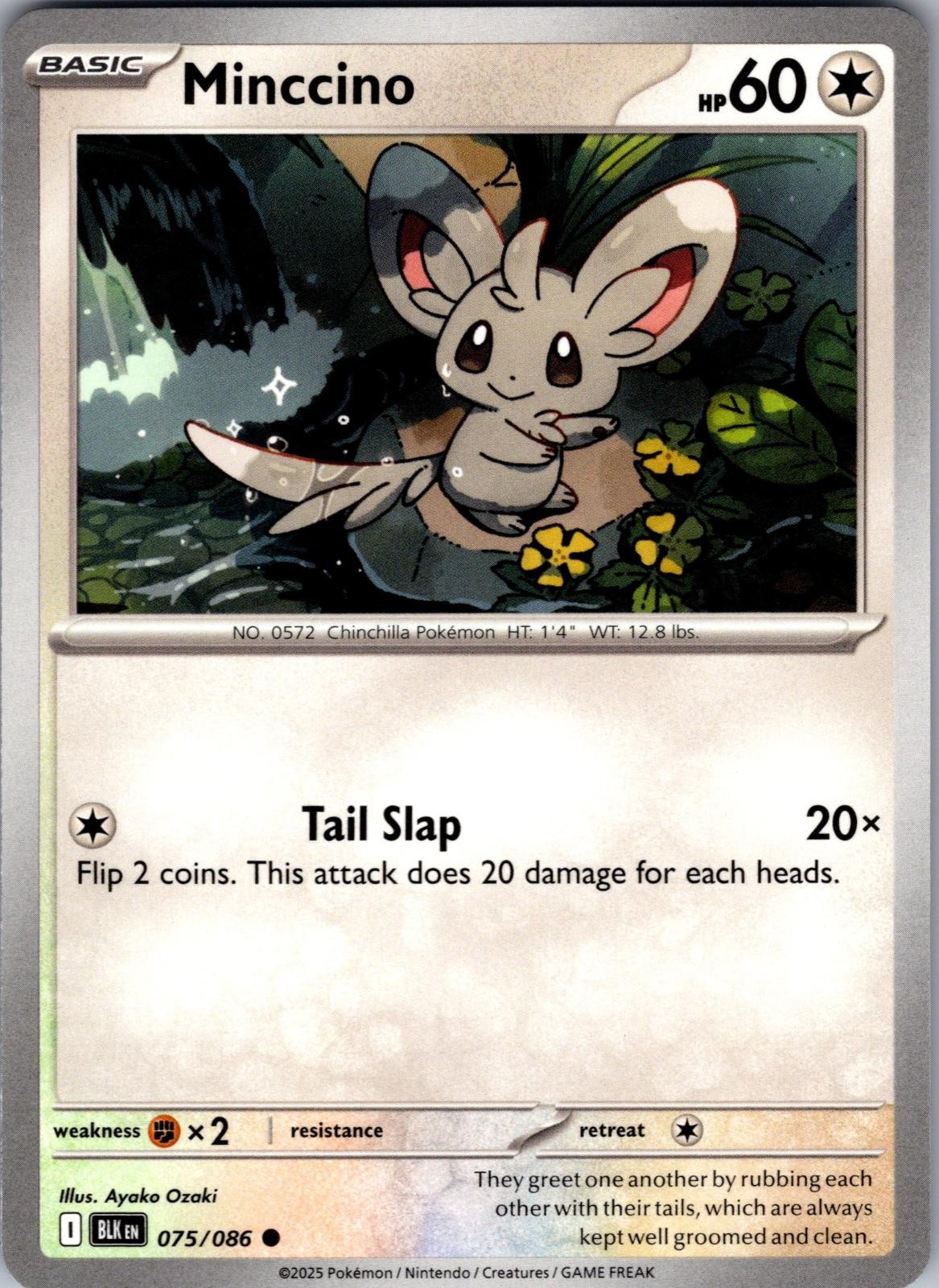 Minccino Black Bolt 075/086 Common Pokemon Near Mint
