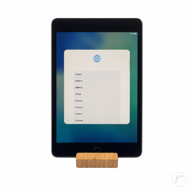 Apple iPad mini 5 2019 64GB Space Grau WLAN