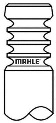 MAHLE 061VA32055000 Auslassventil 