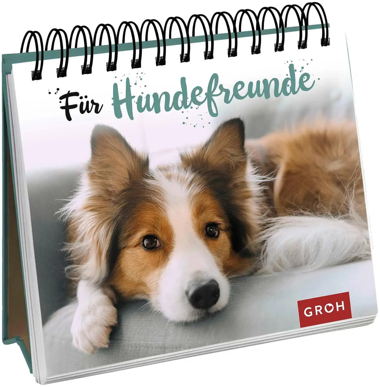 Für Hundefreunde Groh Verlag Taschenbuch Geschenke für Tierliebhaber 144 S. 2021