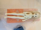 Shuga Doll MSD BJD Box And COA From Company NS Skin, No Face Up — photo 2