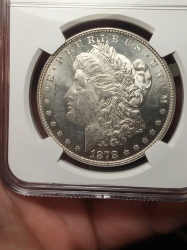 1878-P Morgan Dollar — photo from another recent sale