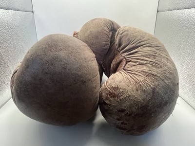 Vtg 1950s Benlee 745-14 Leather Boxing Gloves Horsehair 14oz Rocky Marciano Era