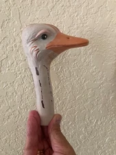 Ostrich Head–Hand Painted–Realistic–Ready for Display–Made of Neoprene–Perfect!