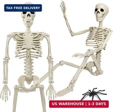 36" Skeleton Halloween Decorations, 3ft Life Size Human Skeleton with Full Body