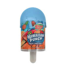 12 Pack Popsicle Style Plastic Storage Containers with Tropical Punch Labels