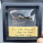 Civil War Musician’s Lyre Note Holder – Brass Instrument Relic Rare Find