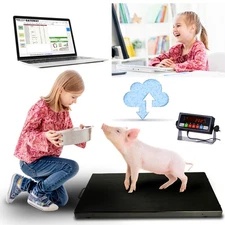 Prime System Livestock Platform Scale 44"x22" w/ LED Indicator 700lb x0.02lb