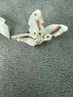 Vintage 1950s Seashell Orchid Clip On Earrings Faux Pearl Rhinestone — photo 6