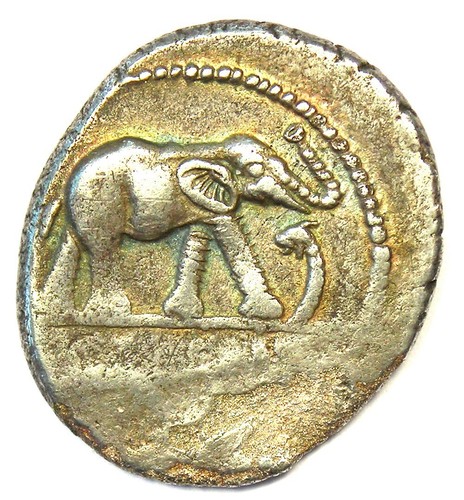 Julius Caesar AR Denarius Elephant Coin 49 BC. NGC Choice VF (Certificate) - Picture 2 of 5
