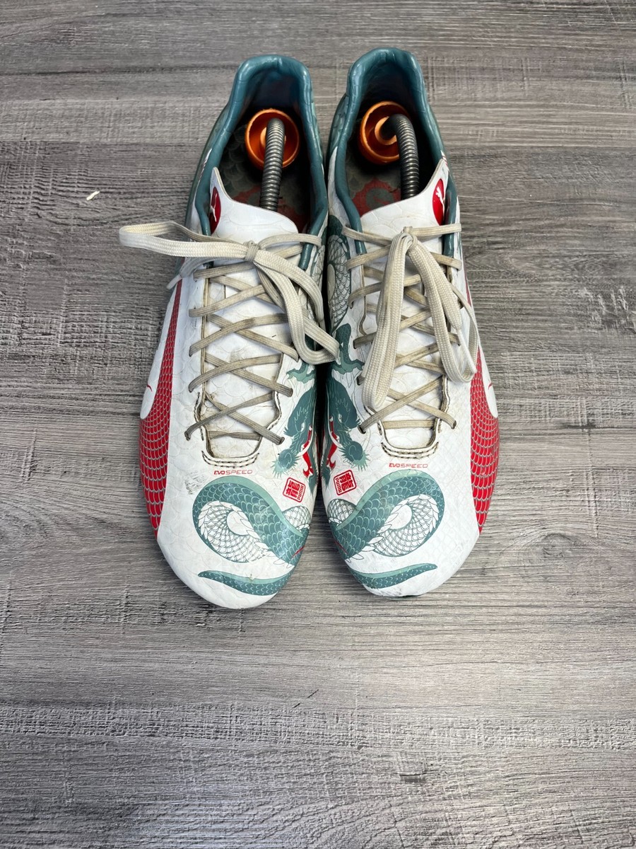 Puma Evospeed Dragon Price PUMA Dragon Evospeed Graphic It Indoor Soccer  Shoes In White