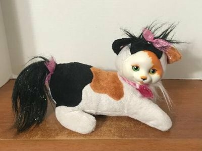 kitty surprise maple