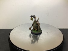 Warhammer AoS Maggotkin of Nurgle Lord of Blights PV224265