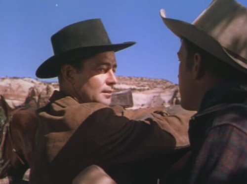Red Mountain 1951 DVD Alan Ladd, Lizabeth Scott, John Ireland - Picture 4 of 12