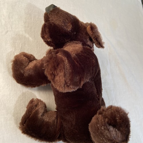 HM138 Ganz Webkinz Chocolate Lab Dog 9" Plush Stuffed Animal No Code Brown Puppy - Picture 5 of 9