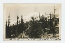 Vintage Photo Gifford Pinchot NTL. Forest Mt. Adams Cold Water Springs WA 1930s