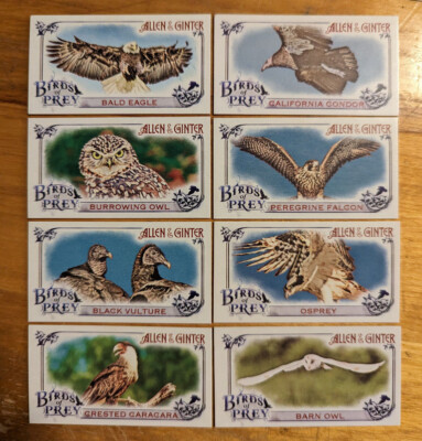 2015 Topps Allen and Ginter Mini Birds of Prey singles fill your set pick