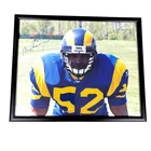 Mike Jones, St Louis Rams Autographed 8x10 Photo, Framed w/COA *SB XXIV Tackle*