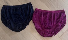 Vtg. Hanes Her Way 100 nylon panties w/Lace Lot 2 Pair Blue Pink Mushroom Sz 10