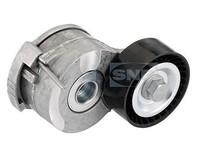 SNR Spannrolle, Keilrippenriemen U.A. FüR CitroËN, Ds, Fiat, Peugeot