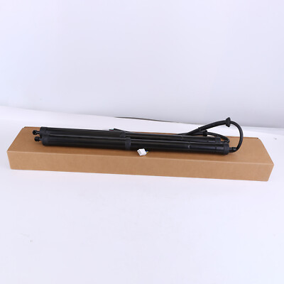Pair Electric Tailgate Gas Struts Replace for 19-22 Toyota RAV4 2.5L 6892042020