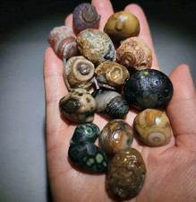 URA]天然水石・姿石・富士石/計1500g/5-s01-53(検)骨董/盆栽/天然石/