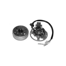 FLYWHEEL ROTOR STATOR BETA MOTOR EIKON 50 1999-2003 163585#23