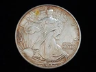 1988 $1 American Silver Eagle 1oz Fine Silver Coin #1 NICE!