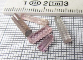 Turmalin rosa Rohkristalle bis 12 mm Gewicht zusammen ca. 5 8 Karat
