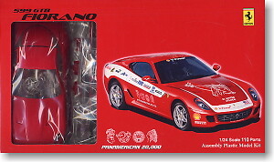 Rare kit Fujimi 1/24 Ferrari 599 GTB PANAMERICAN USA from Japan
