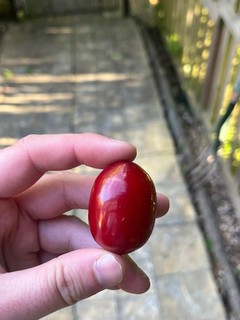 Vintage Phenolic Cherry Amber Bakelite Bead For Necklace Faturan 23.3 G Marbled