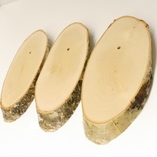 3 St&uuml;ck Birke Schild Troph&auml;enschild f&uuml;r Reh Baumscheibe Baumschild AF 20cm