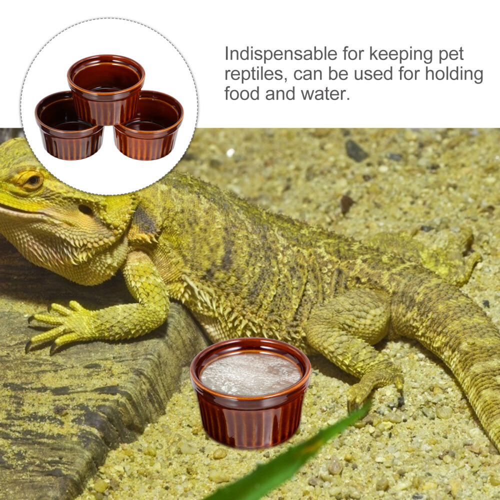 3 Pcs Reptile Bowl Lizard Feeding Bowl Reptile Food Dish Ceramics eBay