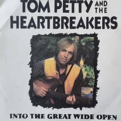 Tom Petty And The Heartbreakers - Into The Great Wide Open 7