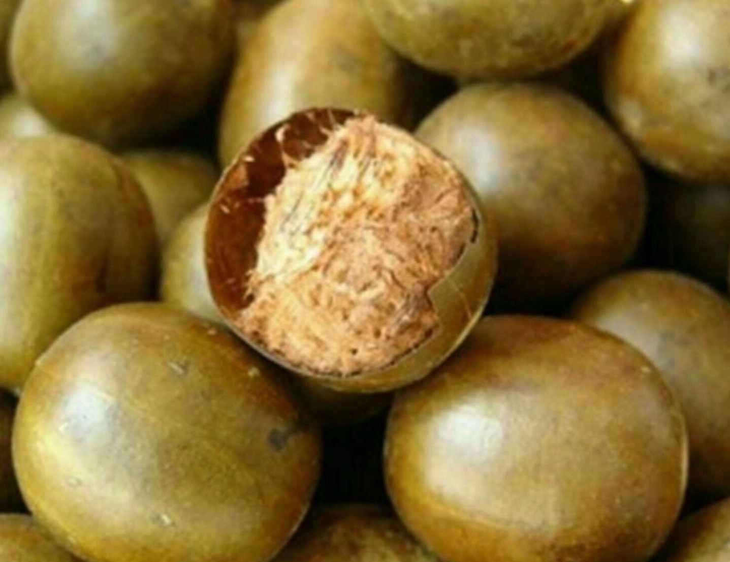 LUOGO HAN GUO / MONK FRUIT 20 Pz - Foto 6