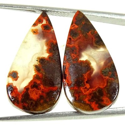 19.20Cts Natürliches Morrocan Seam Agate Tropfen Cabochon Paar Lose Edelsteine