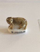 FEVE CHAT EXOTIC  "ALLURE DE CHATS "-2006 EDITIONS ATLAS  (1678)