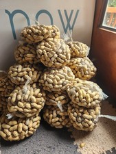 10 Lbs. Raw dried Jumbo Peanuts In The Shell, Baking, Boiling, Squirrel Feed