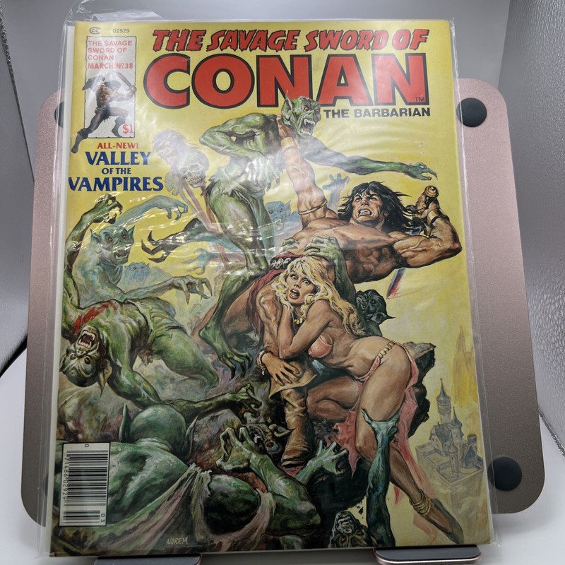 THE SAVAGE SWORD OF CONAN THE BARBARIAN  #38 MARCH 1979