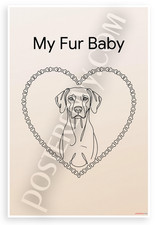 My Fur Baby Rhodesian Ridgeback Heart Poster 12x18