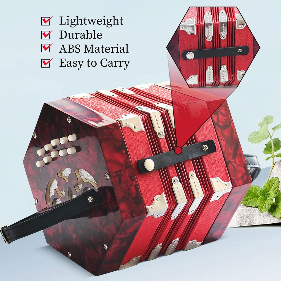 Concertinas, 20 Botones Acordeón Para Adultos Acordeón Profesional para Principiantes... Foto 3 de 4