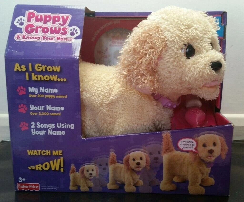 Fisher price hotsell puppy name