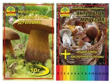 Oferta: Sucha grzybnia Porcini Dubovik/Boletus/ Plus aktywator wzrostu grzybni 