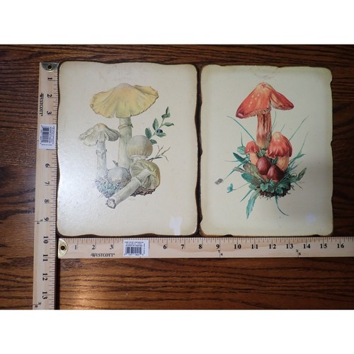 Mushroom Wooden Plaque Sign Decor Rustic Cottage Core Lot (2) Vintage Nature - Picture 12 of 13