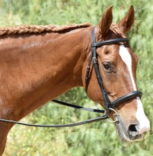 Bobby's Heavy Duty Padded Snaffle Bridle with Stud Hooks and Flash-Cob-Black/Nic