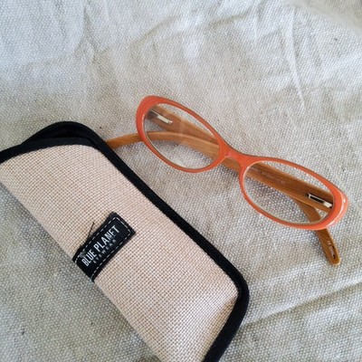 Blue Planet orange readers with case 1.50