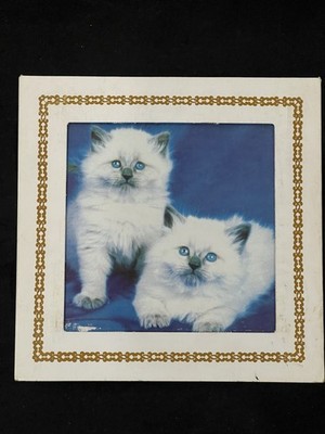 Vintage 90s Kitten Cat Fair Prize Glass Plaque Retro Kitsch Birman Ragdoll